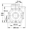 LX LP300 - Bild 2
